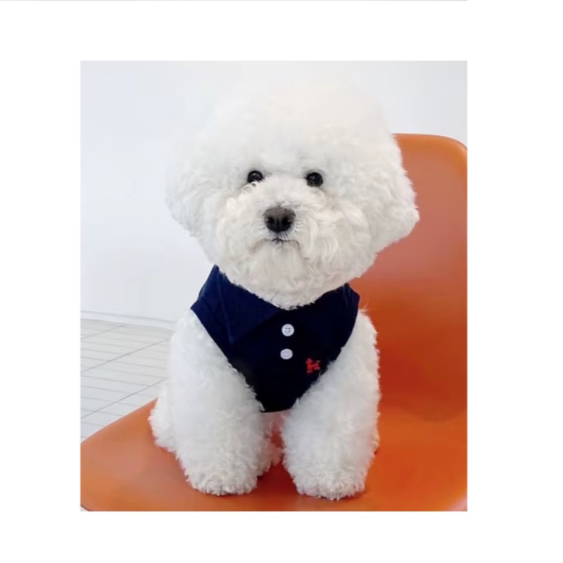 Poodle Sport Polo