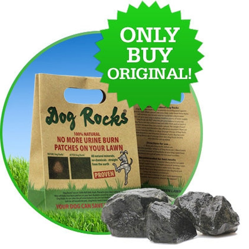Dog Rocks Grass Burn Prevention