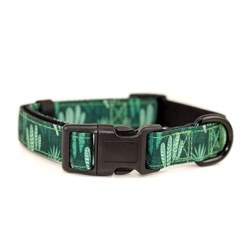 Uptown Pup Tropical Collar