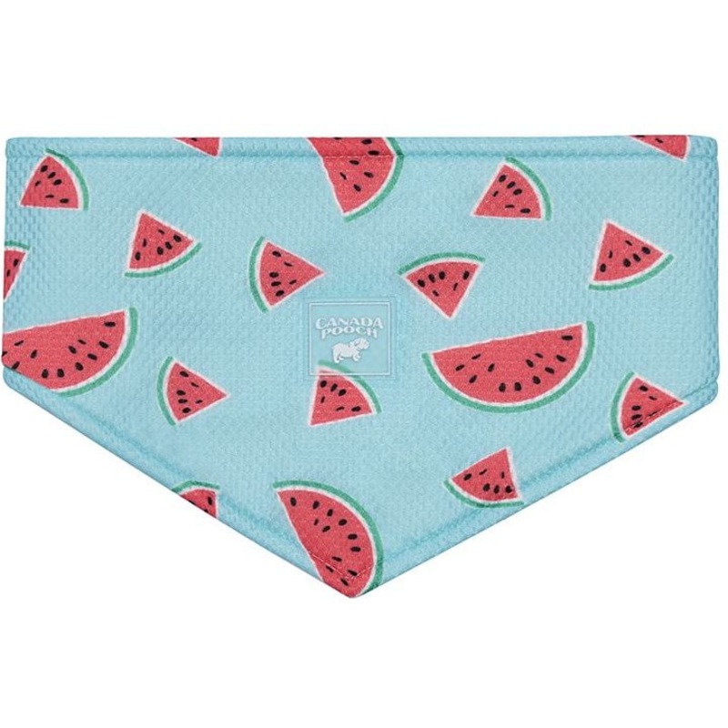 Canada Pooch Cooling Dog Bandana, Watermelon