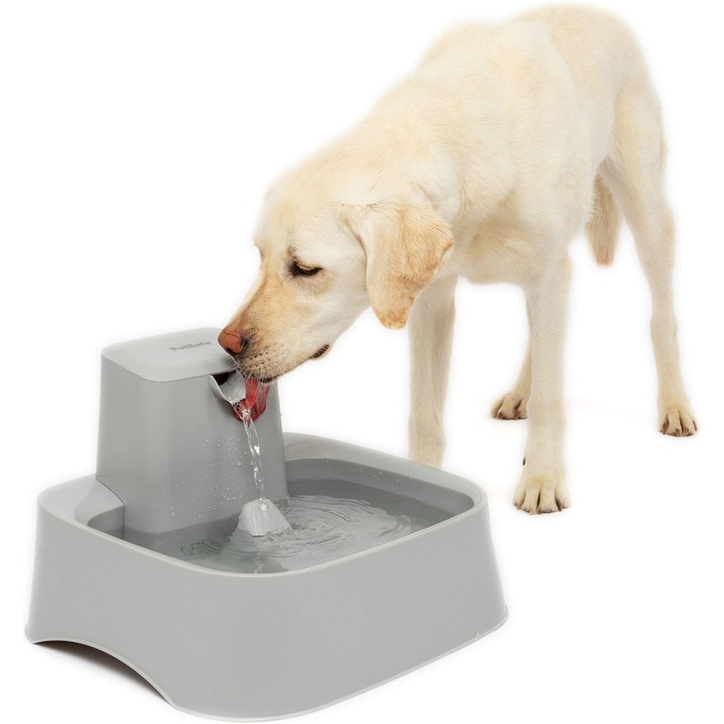 PetSafe Drinkwell Dog Water Fountain