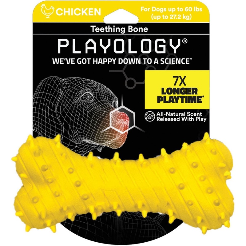 Playology Puppy Teething Bone Chicken Dog Toy, Yellow, Large