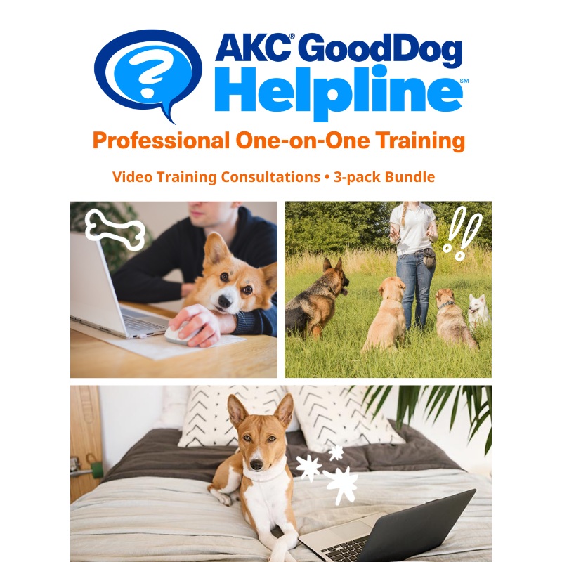 AKC GoodDog Helpline Video Training Consultations Bundle