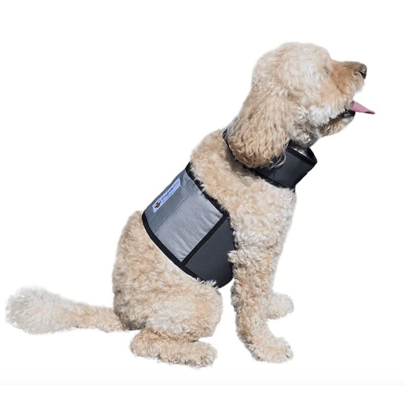 Cooling Vest and Collar
