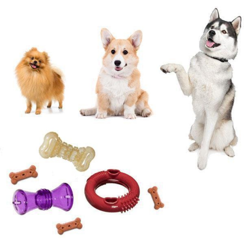 Interactive Play Pack