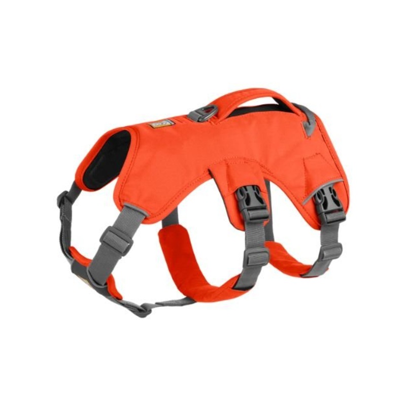 Ruffwear Web Master Dog Harness with Handle (Blaze Orange)