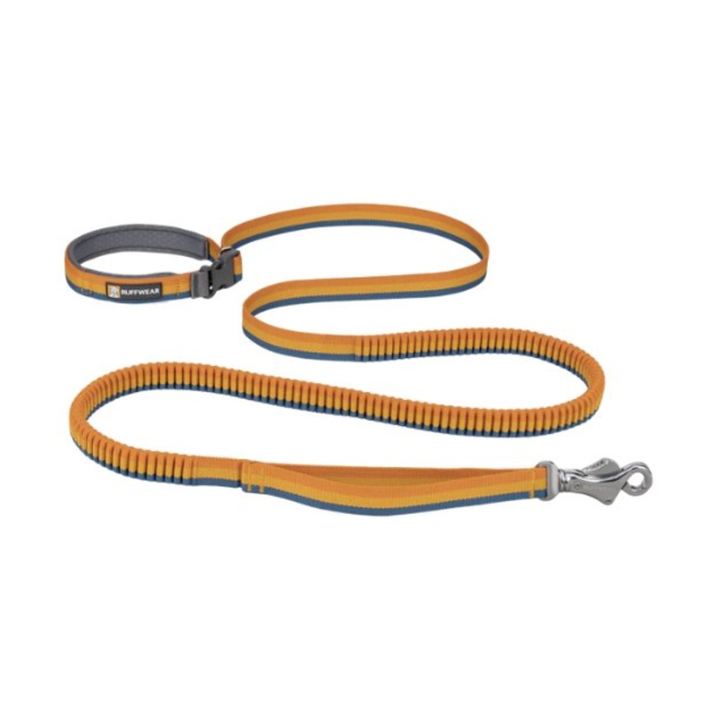 Ruffwear Roamer Multi-Use Bungee Dog Leash (Yellow Snow)