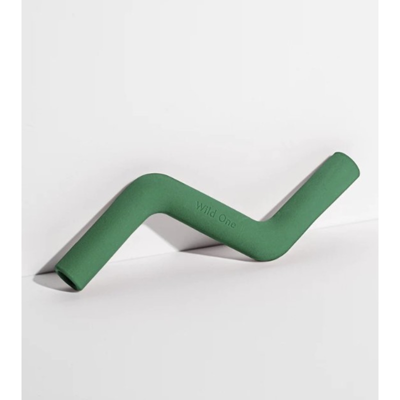 Wild One Bolt Bite Dog Chew Toy (Spruce)