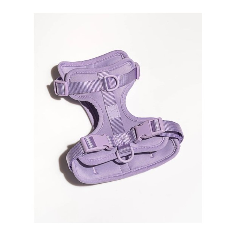 Wild One Comfort Dog Harness (Lilac)
