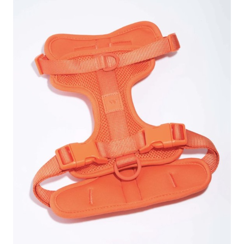 Wild One Comfort Dog Harness (Limited Edition - Blaze)