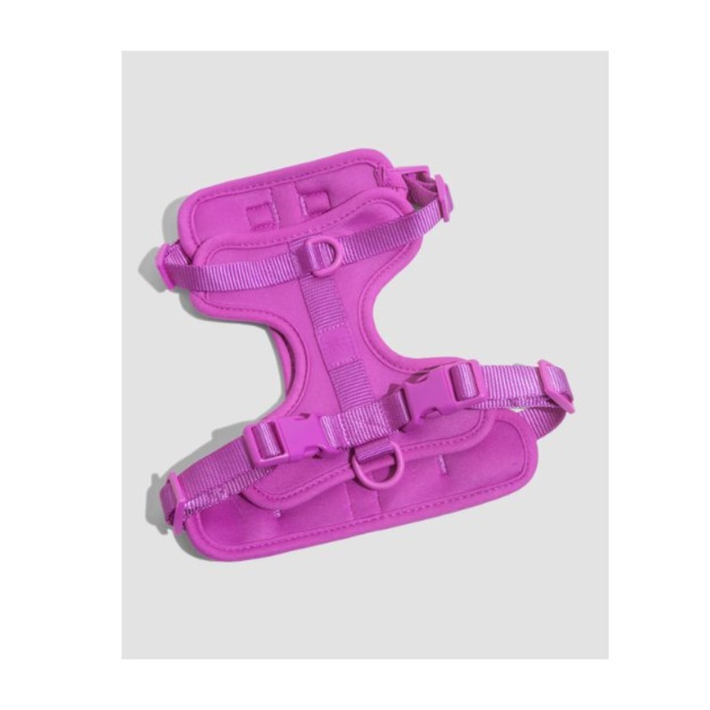 Wild One Comfort Dog Harness (Orchid)