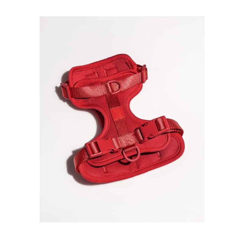 Wild One Comfort Dog Harness (Strawberry)