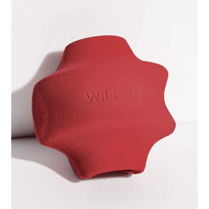 Wild One Twist Toss Dog Chew Toy (Strawberry)