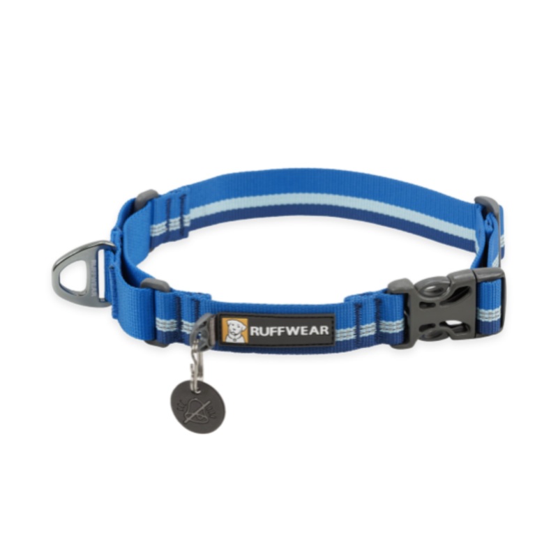Ruffwear Web Reaction Reflective Buckled Martingale Dog Collar (Blue Pool)