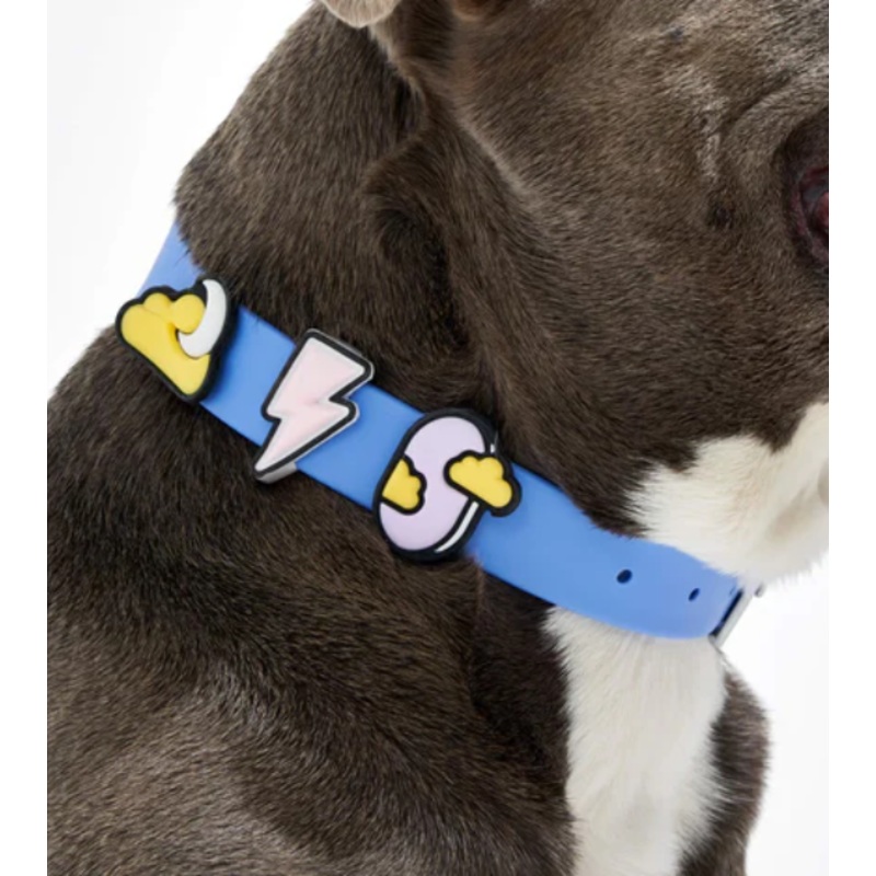 Wild One Flair Charms Pack For Leash & Collar (Dream)
