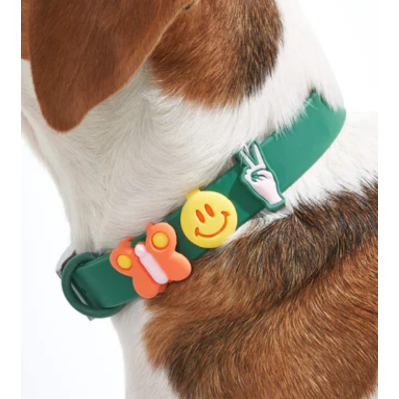 Wild One Flair Charms Pack For Leash & Collar (Groovy)