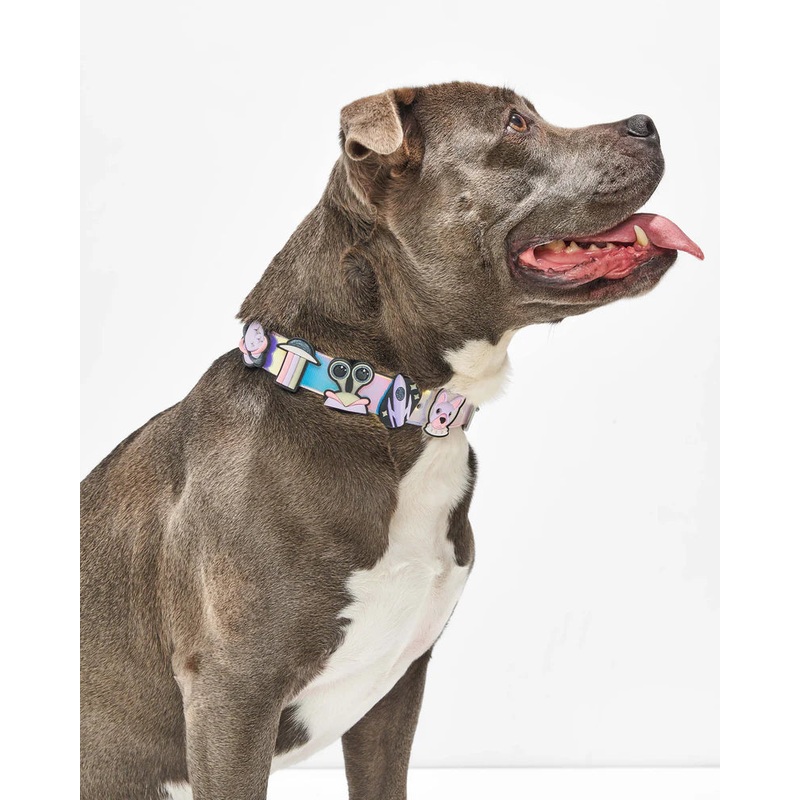 Wild One Glow-In-The-Dark Flair Charms Pack For Leash & Collar (Space)