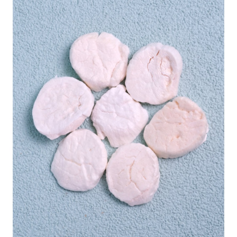 WildChow Freeze Dried Dog Treats (Hokkaido Scallops)