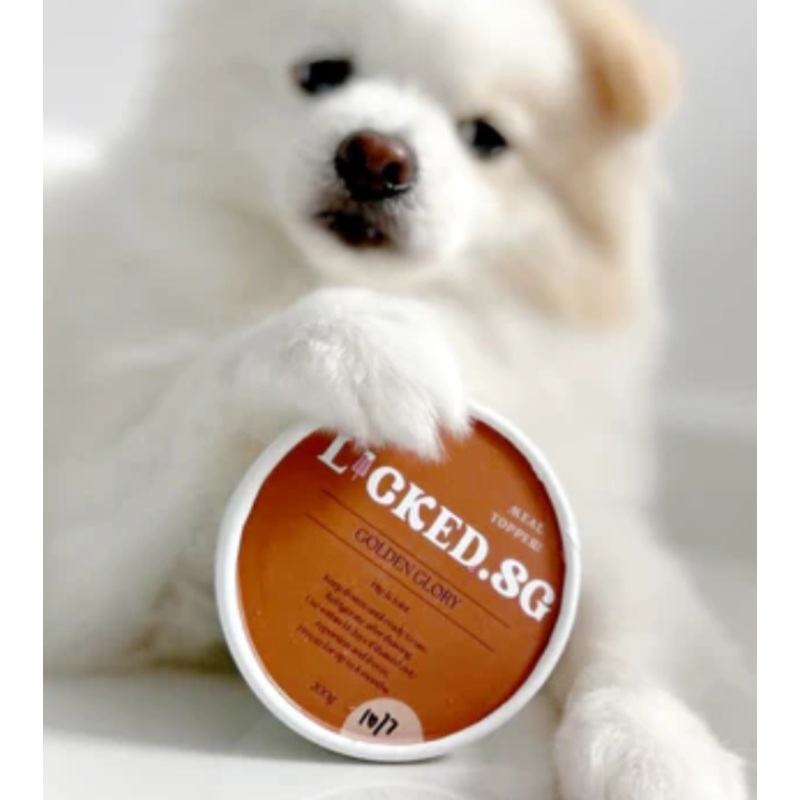 Licked Booster Frozen Meal Topper for Dogs (Golden Glory)