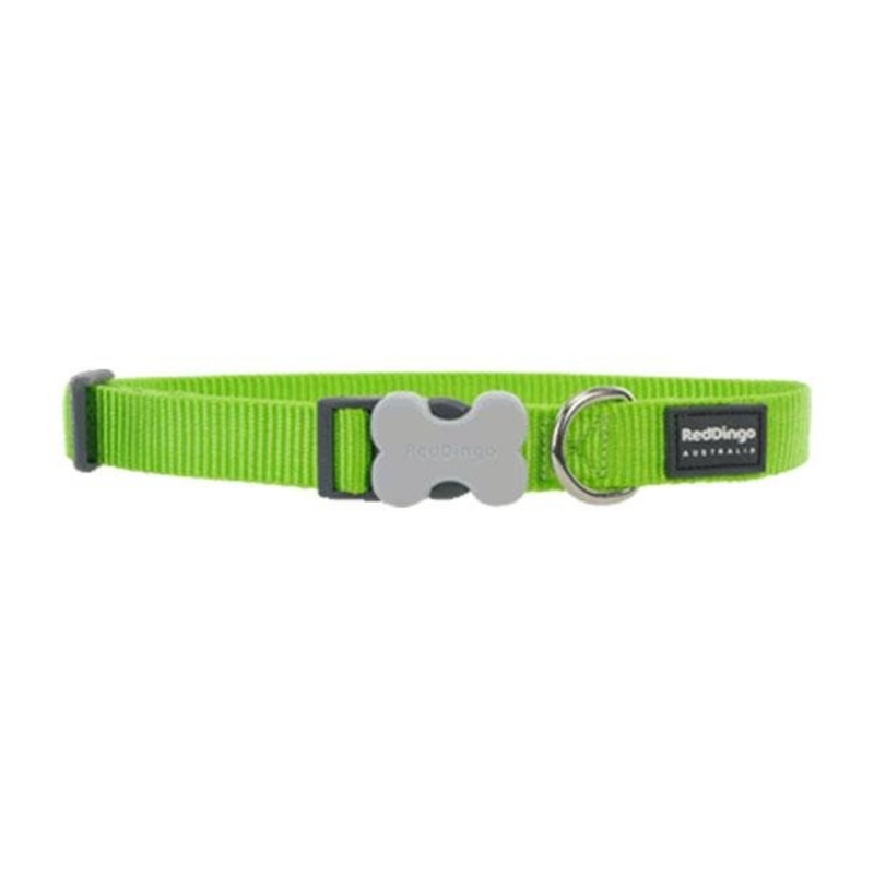 Red Dingo Classic Dog Collar (Lime Green)