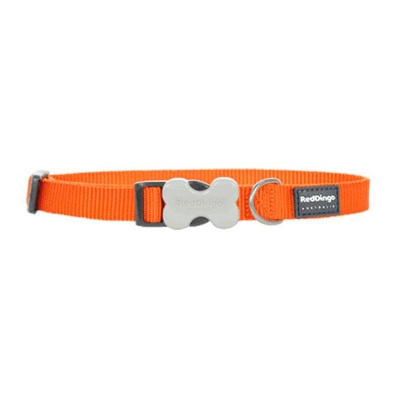 Red Dingo Classic Dog Collar (Orange)