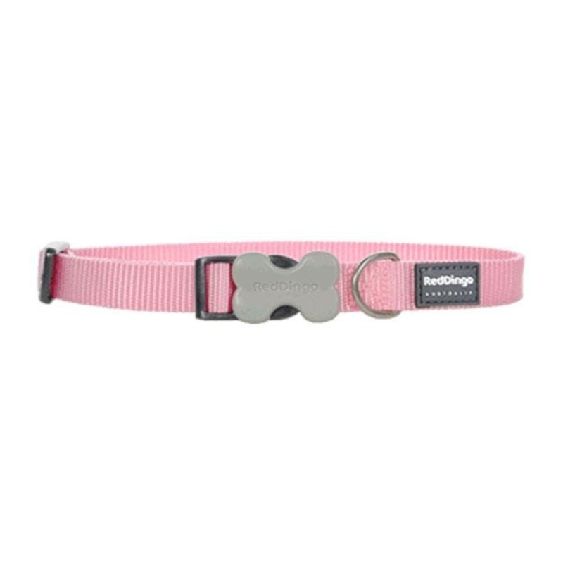 Red Dingo Classic Dog Collar (Pink)