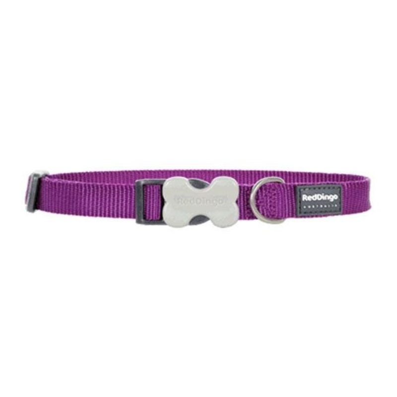 Red Dingo Classic Dog Collar (Purple)