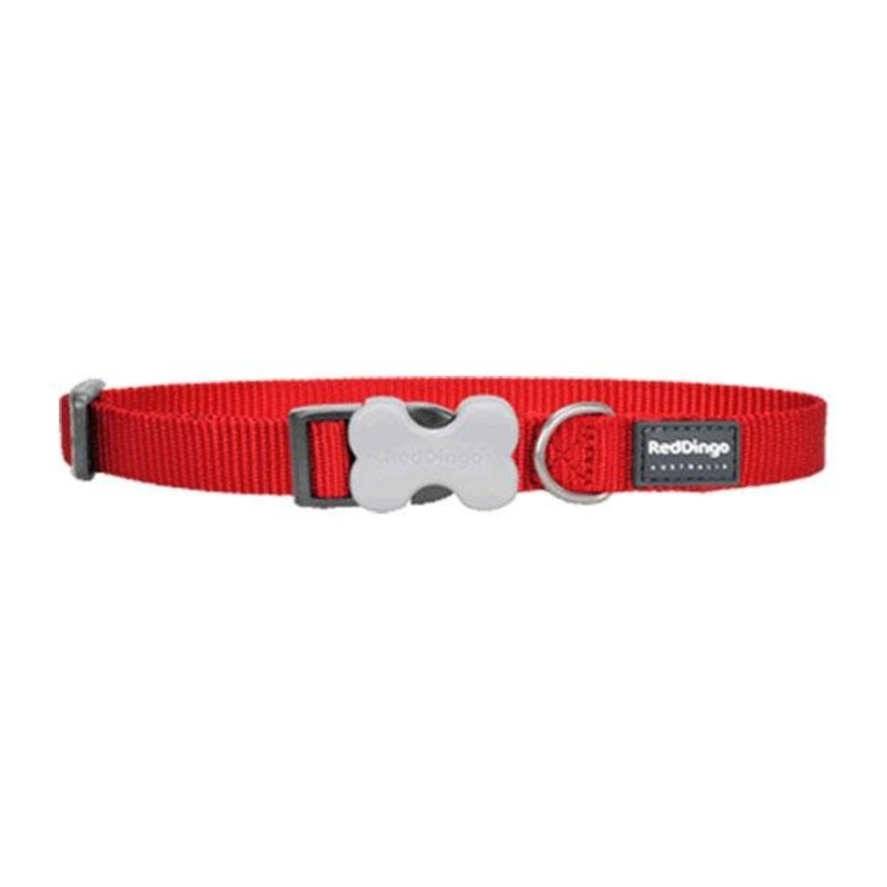 Red Dingo Classic Dog Collar (Red)