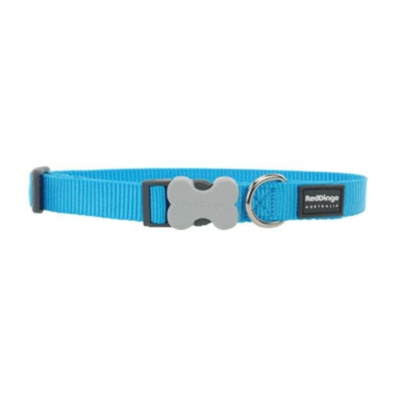 Red Dingo Classic Dog Collar (Turquoise)
