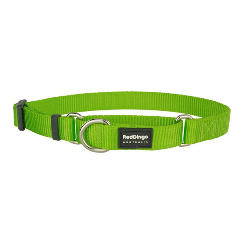 Red Dingo Martingale Choke Prevention Dog Collar (Lime Green)