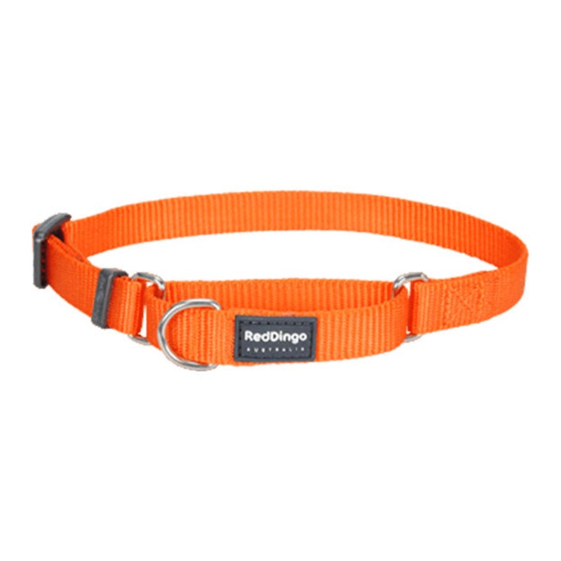 Red Dingo Martingale Choke Prevention Dog Collar (Orange)