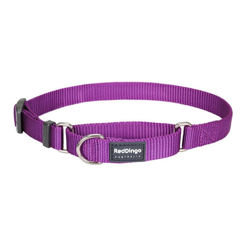 Red Dingo Martingale Choke Prevention Dog Collar (Purple)