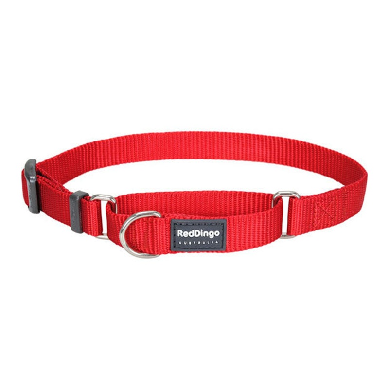 Red Dingo Martingale Choke Prevention Dog Collar (Red)