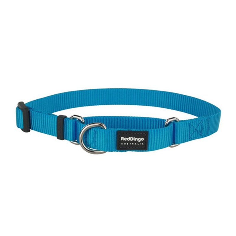 Red Dingo Martingale Choke Prevention Dog Collar (Turquoise)
