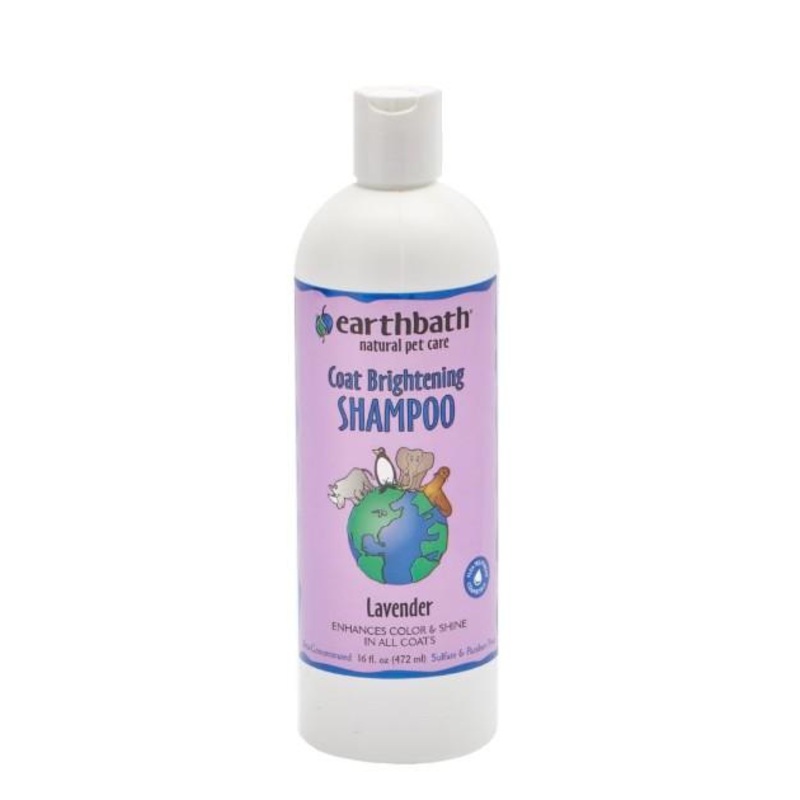 Earthbath Coat Brightening Shampoo With Lavender For Dogs