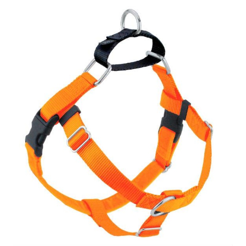 Freedom No-Pull Harness & Leash (Neon Orange/Black) For Dogs