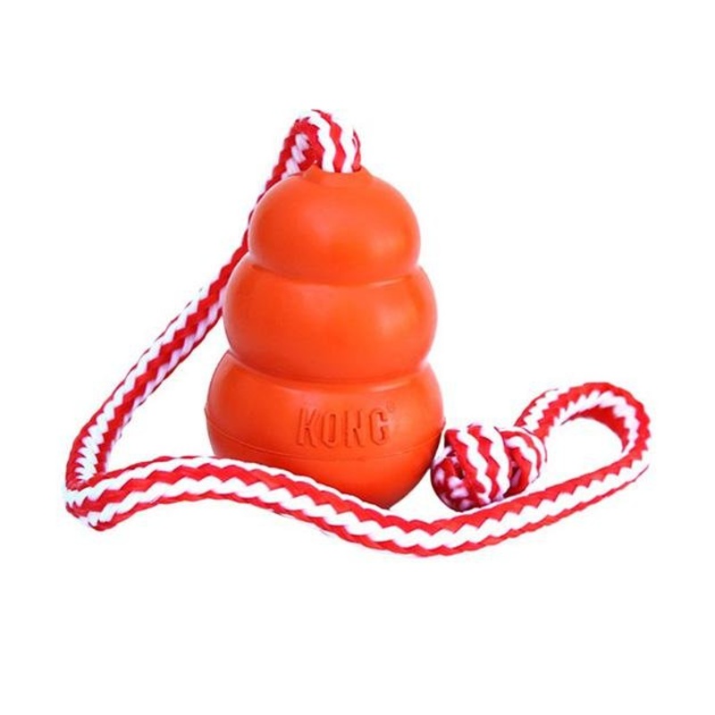 Kong Aqua Dog Toy