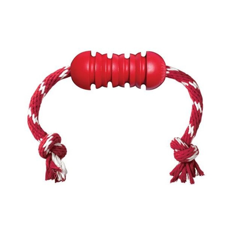 Kong Dental With Rope Dog Toy