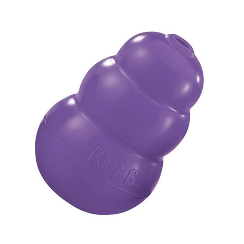Kong Senior Dog Toy