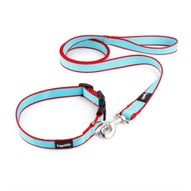 Loyal.D Bamboo Collar & Dog Leash Set (2 Colors)