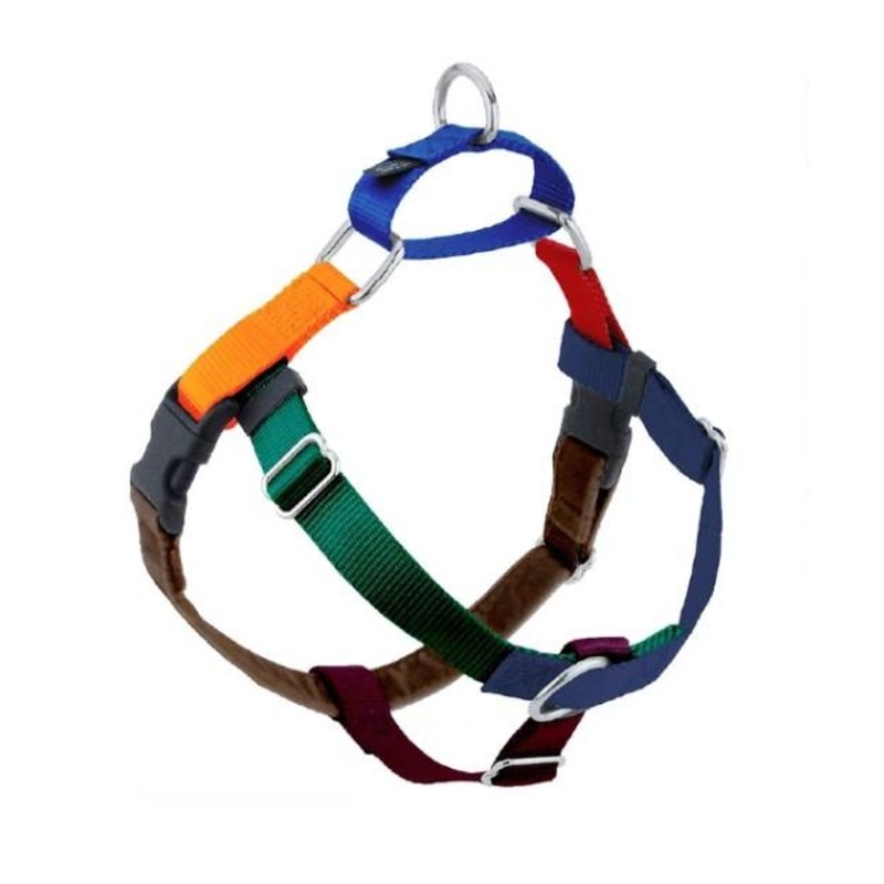 Freedom No-Pull Harness & Leash (Jellybean Spice - Random Color Mix) For Dogs