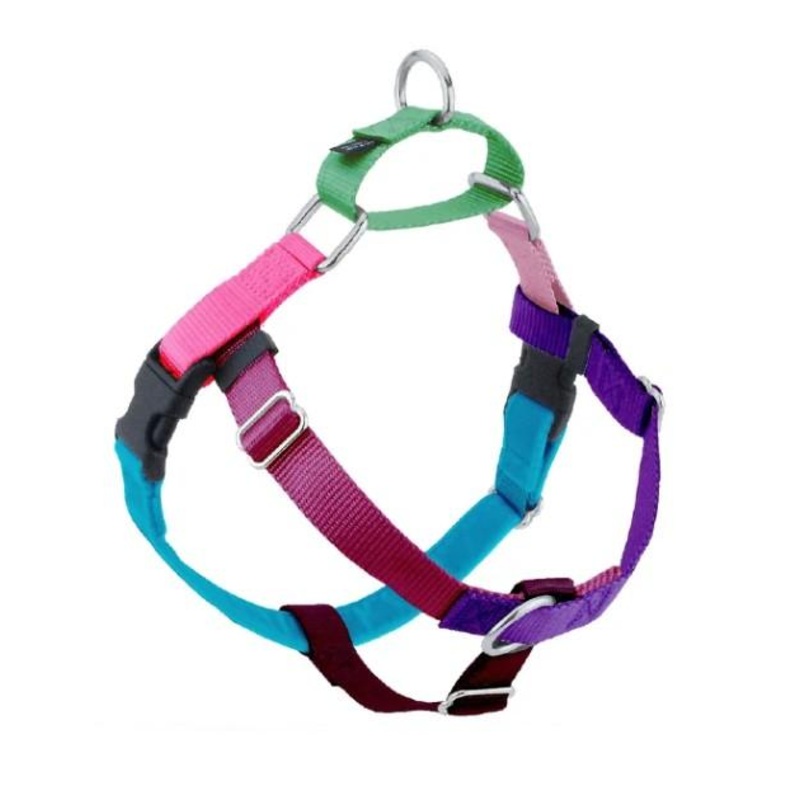 Freedom No-Pull Harness & Leash (Jellybean Sugar - Random Color Mix) For Dogs