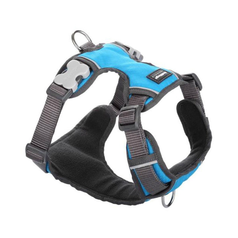 Red Dingo Padded Dog Harness (Turquoise)