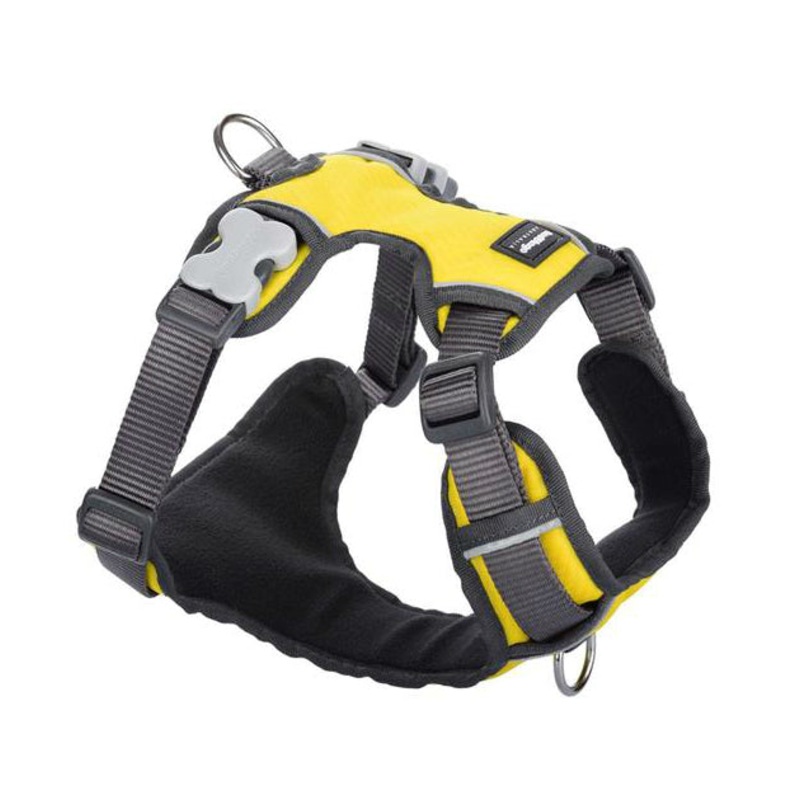 Red Dingo Padded Dog Harness (Yellow)
