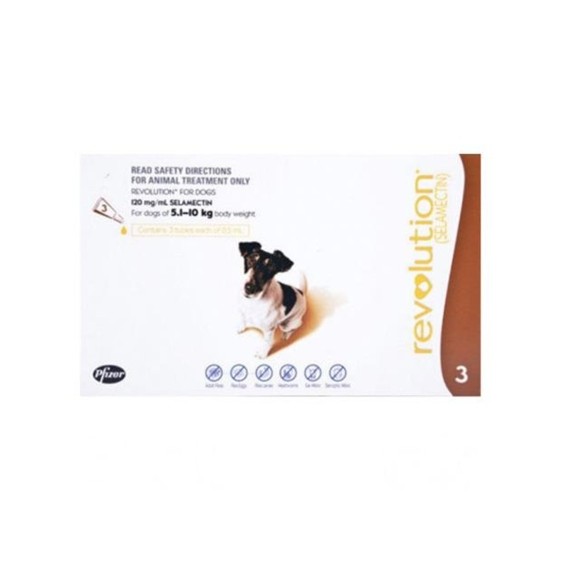 Revolution Heartworm, Flea & Tick Treatment For Small Dogs (10.1 - 20lb / 5.1kg - 10.0kg)