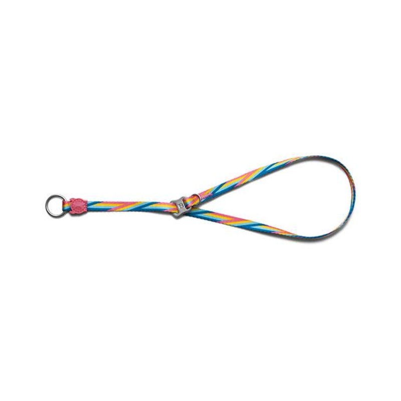 Zee.Dog Bowie Obedience Dog Collar
