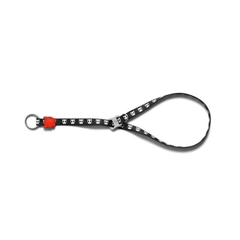 Zee.Dog Skull Obedience Dog Collar