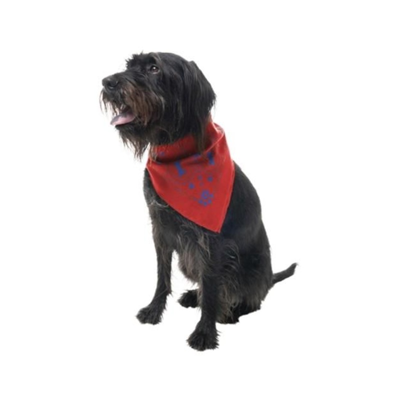Insect Shield Paisley Flea & Tick Repellent Bandana for Dogs (Poppy)