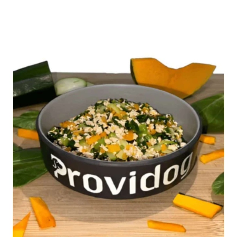 Providog Gently Cooked Dog Food (Pork)