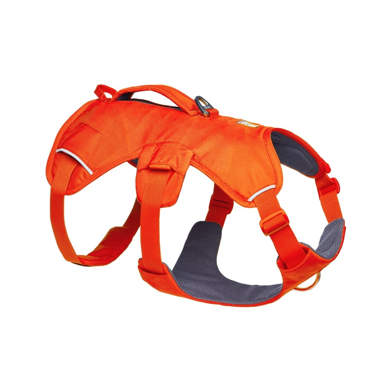 Ruffwear Web Master Dog Harness with Neck Buckle and Handle (Blaze Orange)